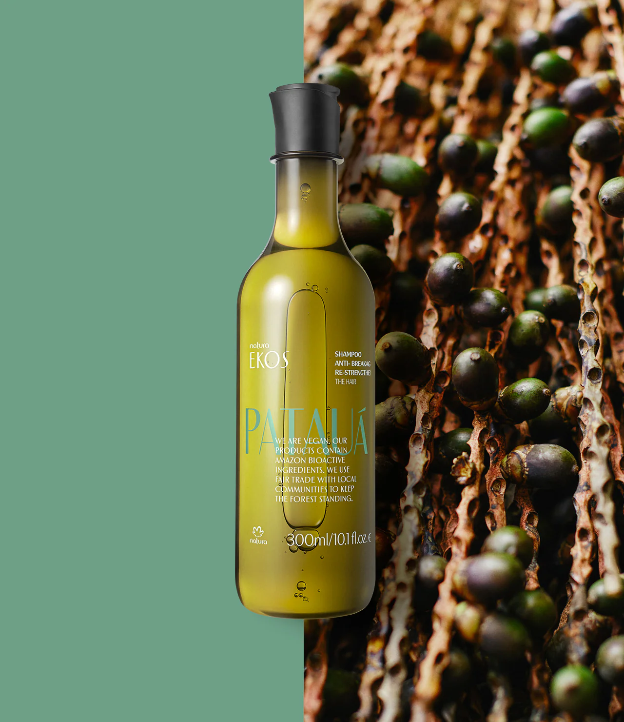 Ekos Patauá Hair Anti-Breakage Re-Strengthening Shampoo - Image 4